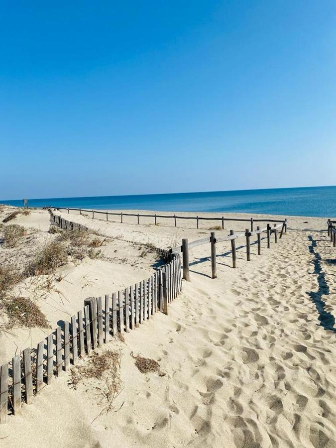 Bella Vista ,Acces Direct Plage, Front De Mer, Vue Mer Panoramique Ле-Баркарес Екстер'єр фото